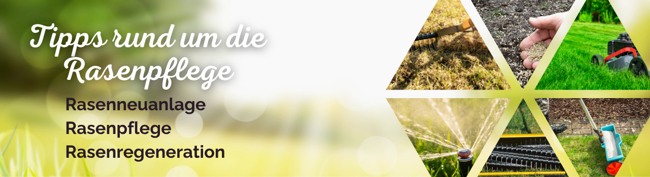 Tipps rund um die Rasenpflege - Mähen, Düngen, Wässern, Regeneration