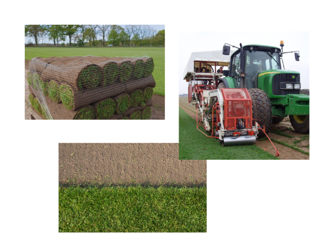 Collage Rollrasen ernten 