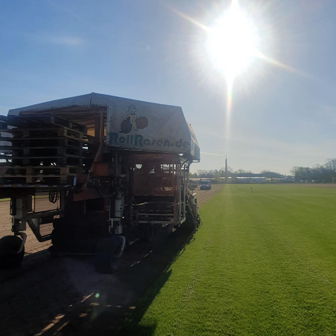 Rollrasenernte am Morgen - Frisch geerntet in Ihren Garten