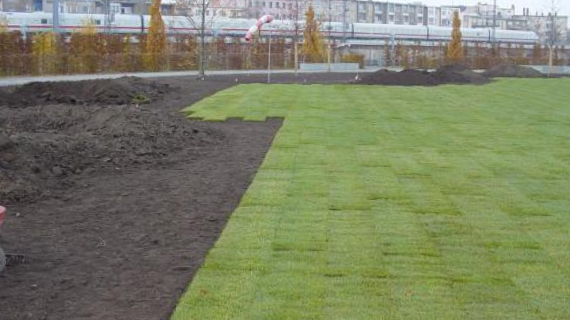 Öffentlicher Raum Grün