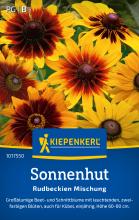Sonnenhut - Rudbeckienmischung