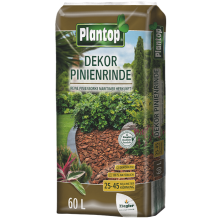 Pinienrinde Dekor
