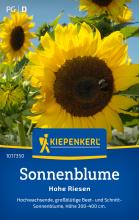 Sonnenblumen "Hohe Riesen"