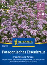 Patagonisches Eisenkraut "Argentinische Verbene"