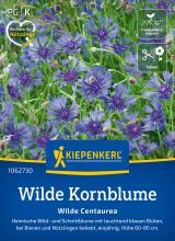 Wilde Kornblume