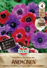 15 Anemonen 'De Caen Mischung'