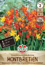 8 Montbretien 'Kleinblumiger Mix'