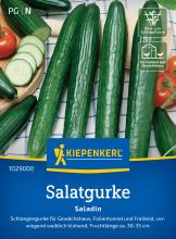 Salatgurke 'Saladin', F1