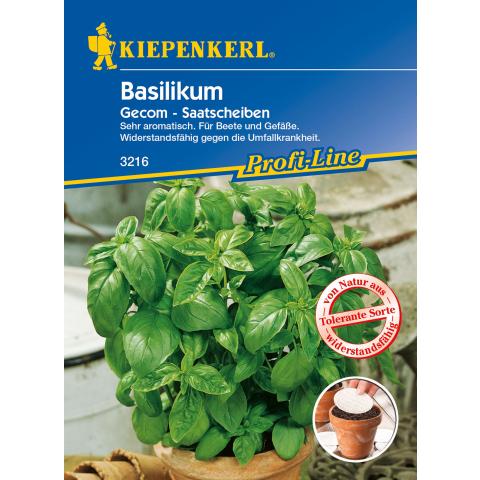 Basilikum Gecom Saatpads Balkon & Garten