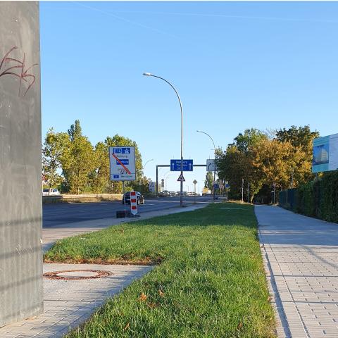Rollrasen als Straßenbegleitgrün