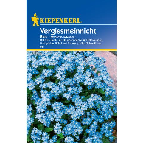 Blaues Vergissmeinnicht