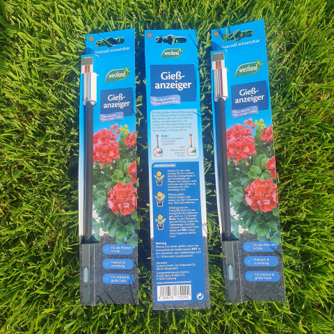 Westland Gießanzeiger anthrazit - Wasserwächter Topfpflanzen