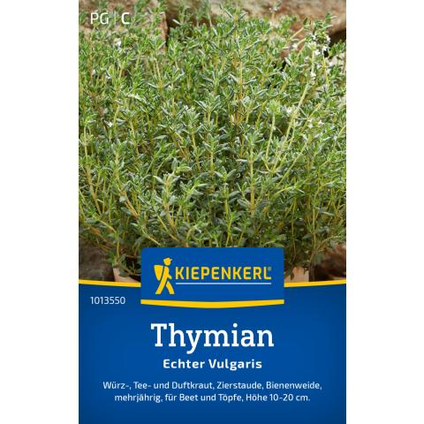 Saatgut Thymian 'Echter Vulgaris'