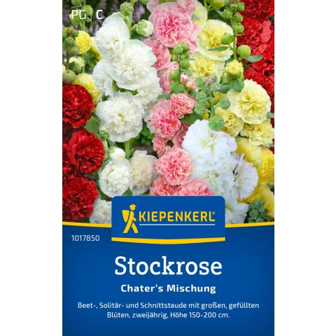 Stockrose "Chater's Mischung"