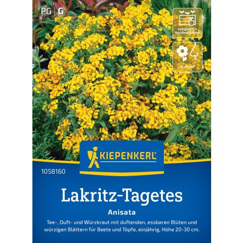 Duftende Lakritz-Tagetes - essbar