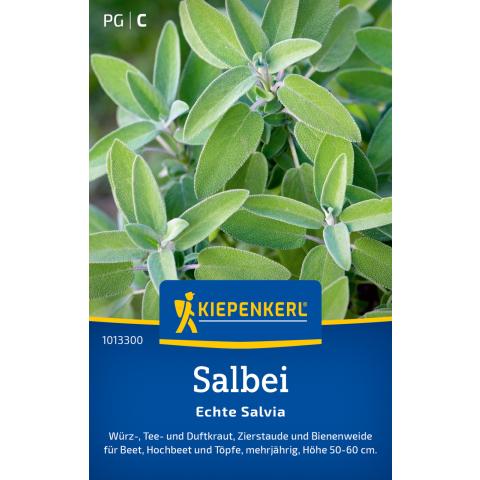 Salbei "Echte Salvia"