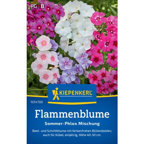 Flammenblume "Sommer-Phlox-Mischung"