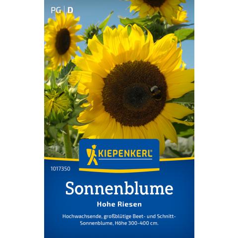Sonnenblumen "Hohe Riesen"