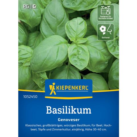 Basilikum "Genoveser"