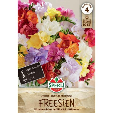 10 Freesien 'Gefüllter Mix'