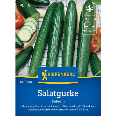 Salatgurke 'Saladin', F1