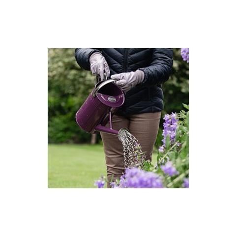Beispiel Anwendung Kanne Kent&Stowe violett 4,5 l