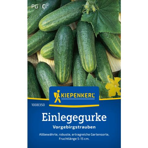 Saatgut Einlegegurken "Vorgebirgstrauben"