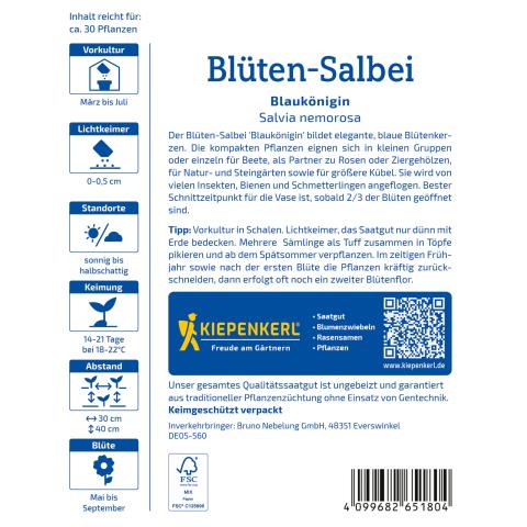 Blüten-Salbei Blaukönigin - nützlingsfreundlich