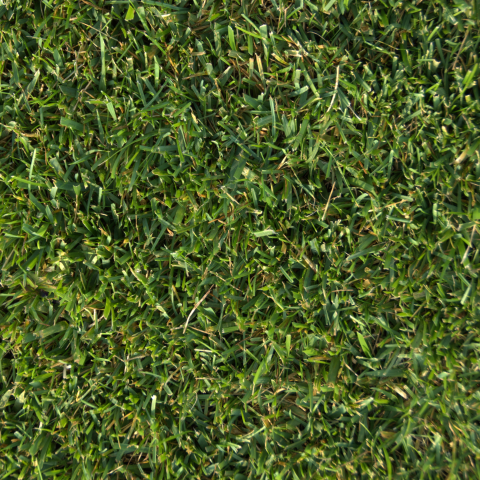 Original Saatgut Rollrasen mediterran/Trockenrasen