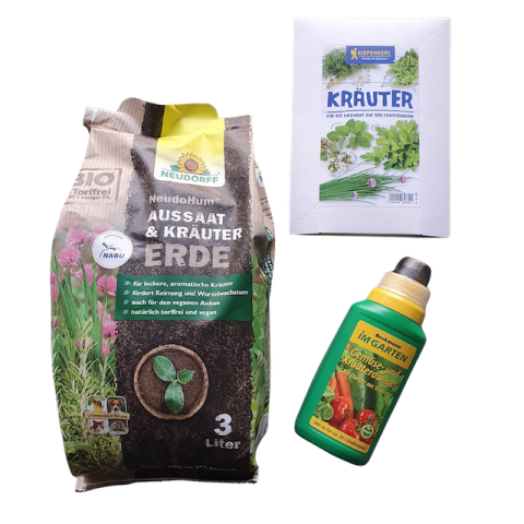 Kräuter auf der Fensterbank