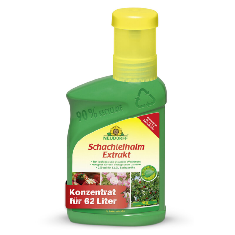 Schachtelhalm-Extrakt