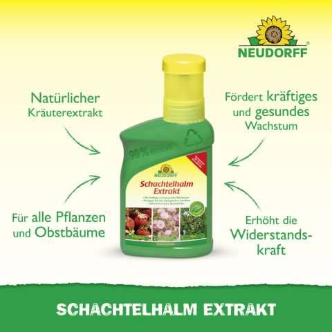 Schachtelhalm-Extrakt