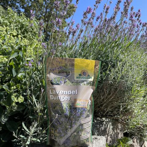 Lavendel-Dünger