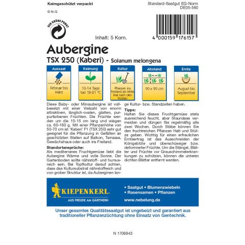 Aubergine Kaberi (F1)