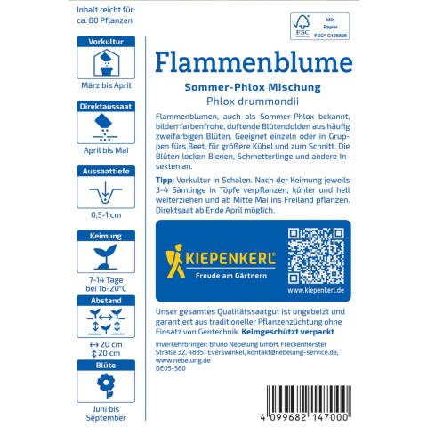 Flammenblume "Sommer-Phlox-Mischung"