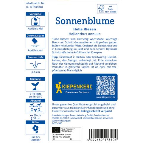 Sonnenblumen "Hohe Riesen"