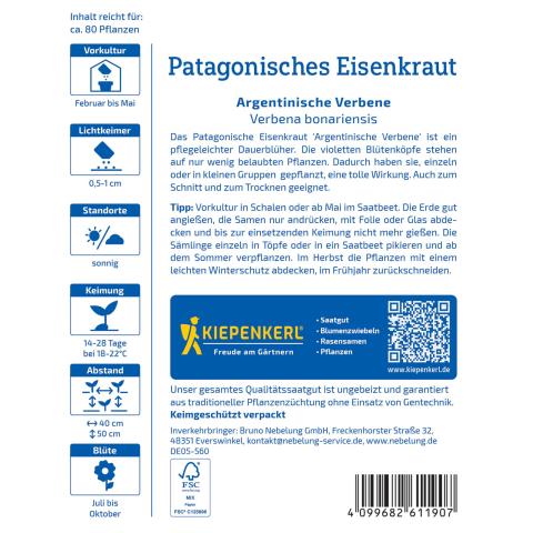 Patagonisches Eisenkraut "Argentinische Verbene"