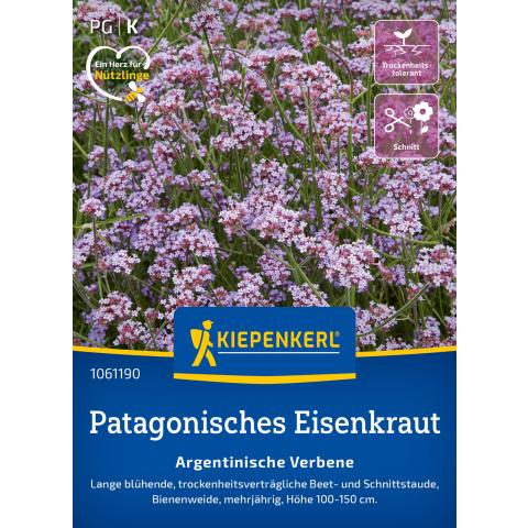 Patagonisches Eisenkraut "Argentinische Verbene"