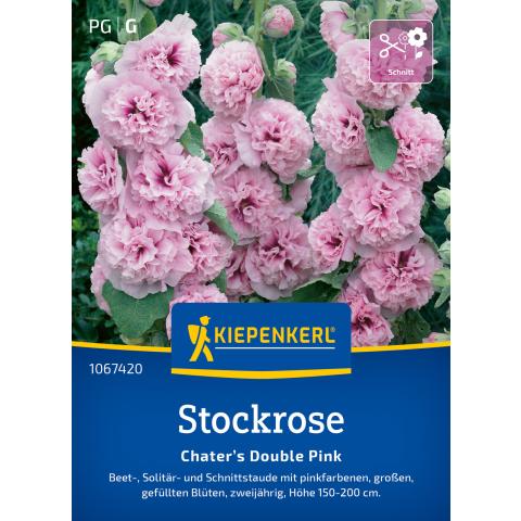 Stockrose "Charter's Double Pink"