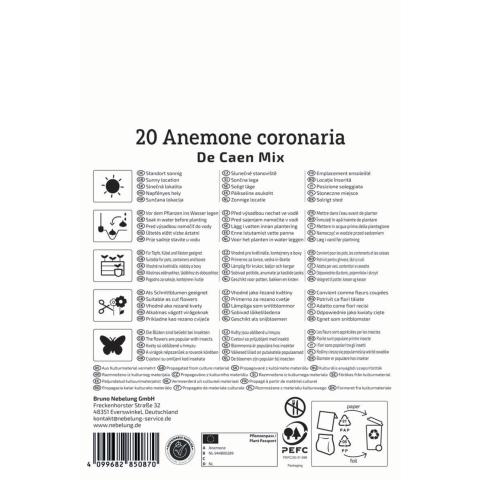 Kronen-Anemonen "De Caen Mischung"