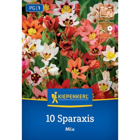 Fransenschwertel-Mischung