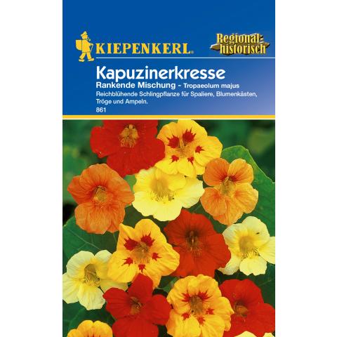 Kapuzinerkresse - rankend, essbar