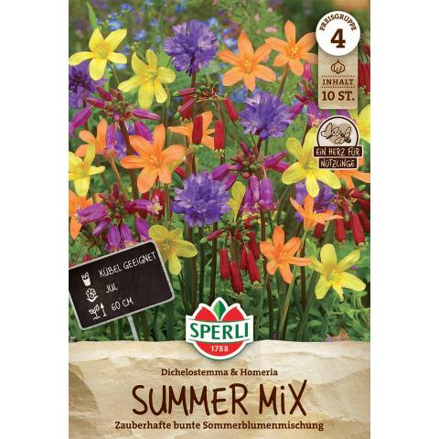 Summer Mix "Dichelostemma & Homeria"