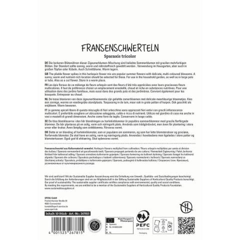 10 Fransenschwerteln "Sparaxis tricolor Mischung"