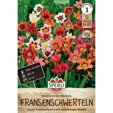 10 Fransenschwerteln "Sparaxis tricolor Mischung"