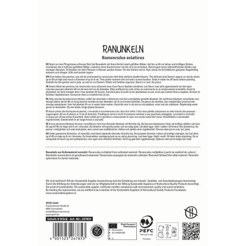 8 Ranunkeln 'Rosa'