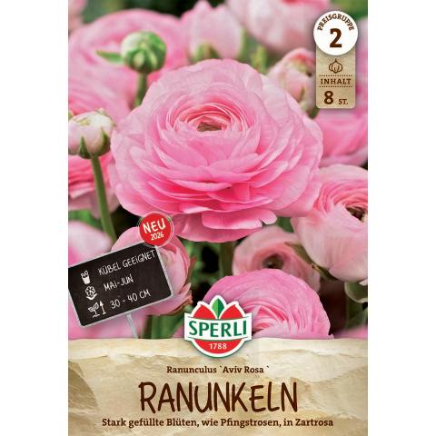 8 Ranunkeln 'Rosa'