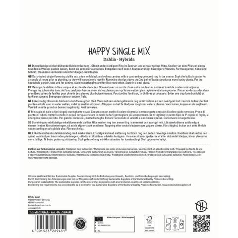 2 Dahlien "Happy Single Mix"