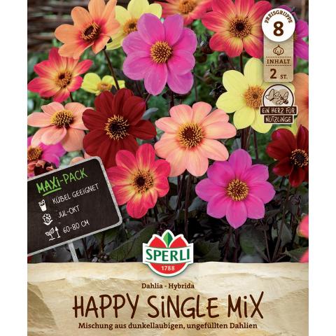 2 Dahlien "Happy Single Mix"