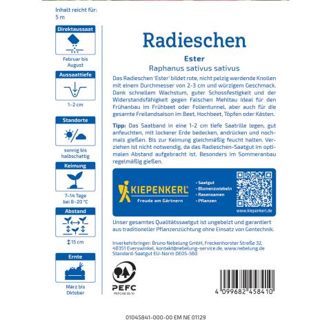 Radieschen 'Ester' (Saatband)